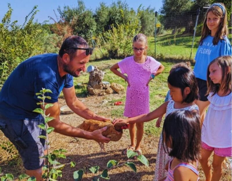 Pienza: Sheep and Chickens Tour w/Gourmet Lunch at Farmhouse - The Authentic Charm of a Tuscany Farm