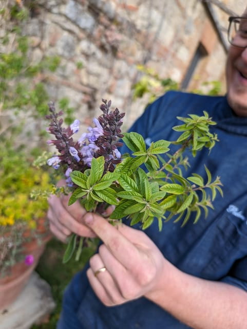 Pienza: Typical Gourmet Lunch at Ancient Tuscan Farmhouse - Discovering the Genuine Flavors of Tuscany at Podere Spedalone
