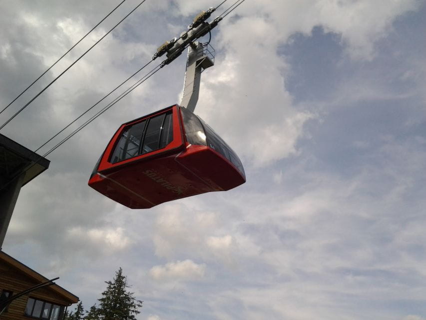 Pilatus: Exclusive Private Golden Round Trip From Basel - Visitor Center Exploration