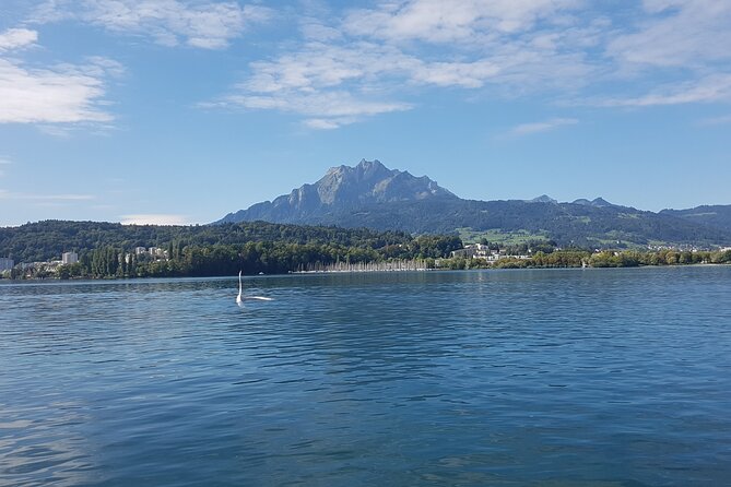 Pilatus Golden Roundtrip: Exclusive Small Group Tour From Luzern - Transportation and Public Transit