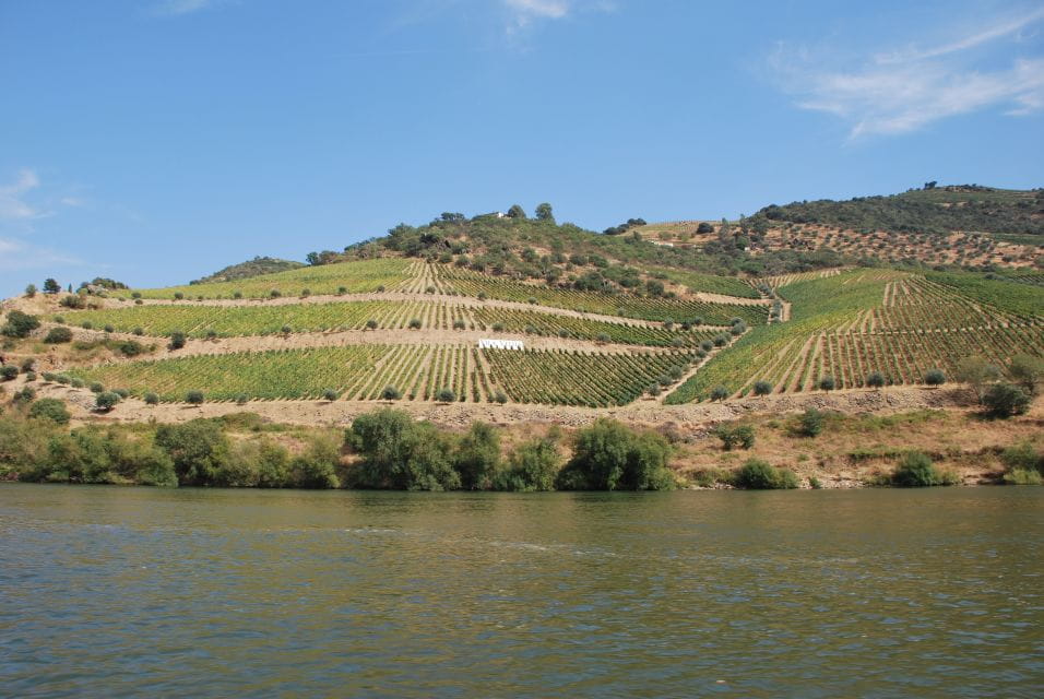 Pinhão: 2-Hour Rabelo Boat Tour With Audio Guide - Audio Guide Features