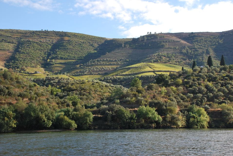 Pinhão: 2-Hour Rabelo Boat Tour With Audio Guide - Crew Assistance