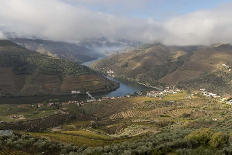 Pinhão: Douro Valley Guided Hike - Exploring the Douro Valley on Foot: A Guided Hike in Pinhão