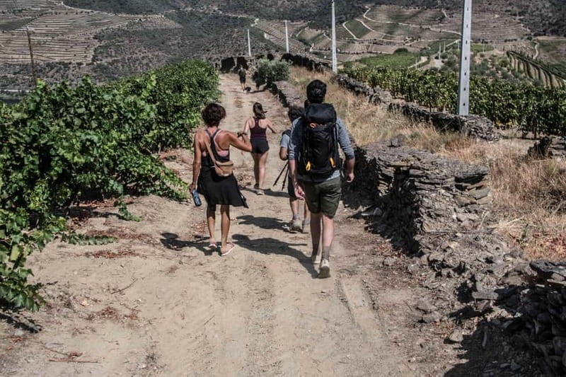Pinhão: Douro Valley Guided Hike - Key Points / Takeaways