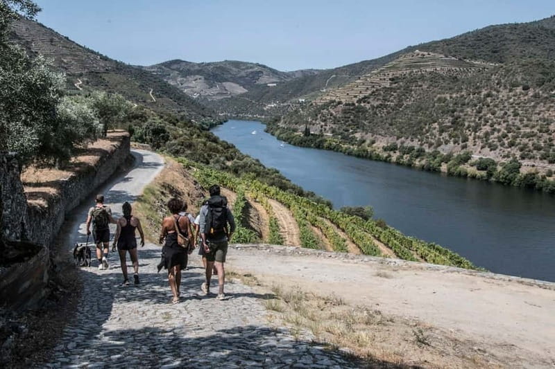 Pinhão: Douro Valley Guided Hike - Who Is This Experience Ideal For?