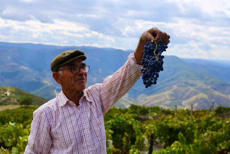 Pinhão: Douro Valley Guided Hike - FAQ