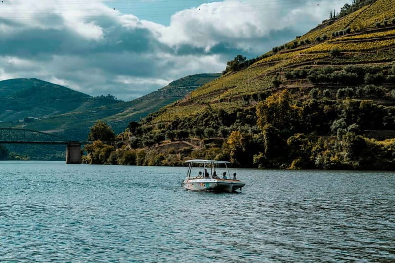 Pinhão: Private Electric Boat Tour 2h| Wine Tasting Included - Price and Logistics: What You Should Know