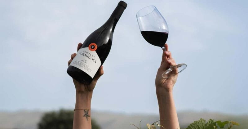 Pinhão: Quinta da Formigosa Vineyard Tour and Wine Tasting - Key Points and Takeaways