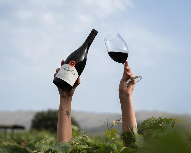Pinhão: Quinta da Formigosa Vineyard Tour and Wine Tasting - Discovering Quinta da Formigosa: A Practical Overview