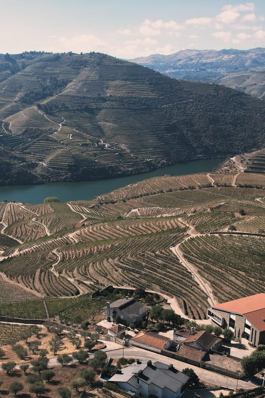 Pinhão: Quinta da Formigosa Vineyard Tour and Wine Tasting - Who Will Get the Most From This Experience?