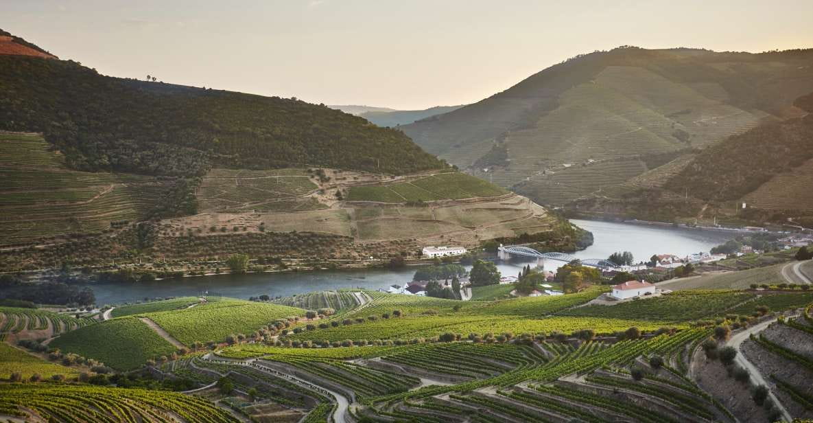 Pinhão: Quinta Do Bomfim Visit and Tasting - Tour Itinerary and Duration