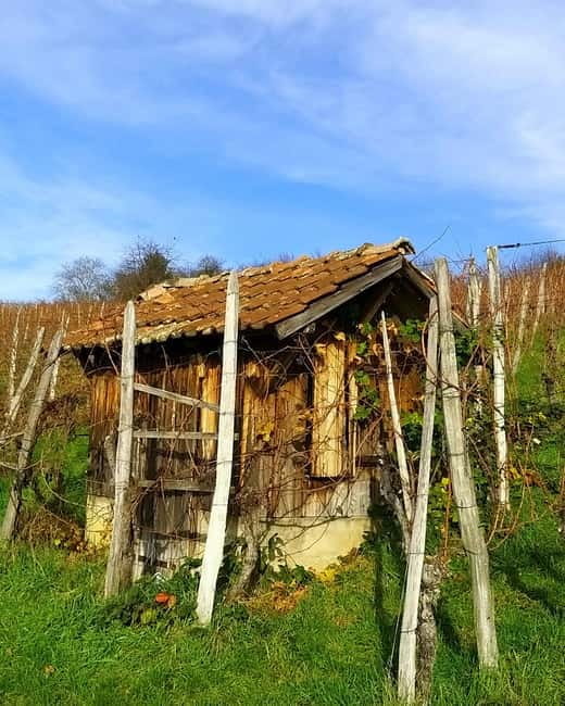 Pinot Noir & Pinot Wine Tour to Baden-Württemberg - Key points / Takeaways