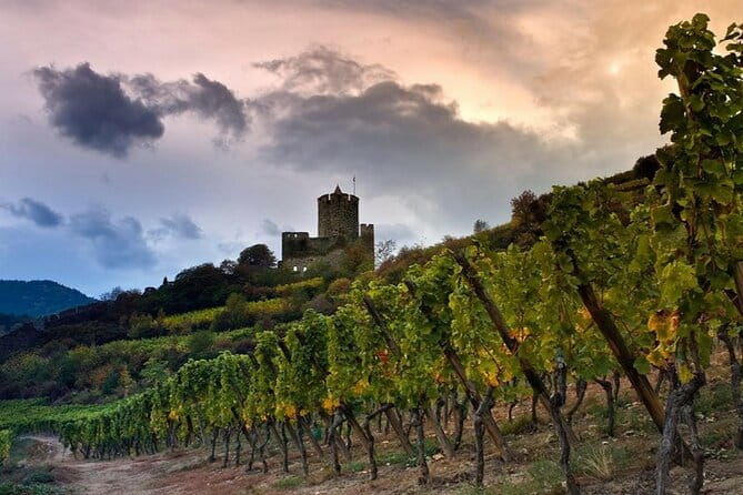 Pinot Noir & Pinot Wine Tour to Baden-Württemberg - FAQs