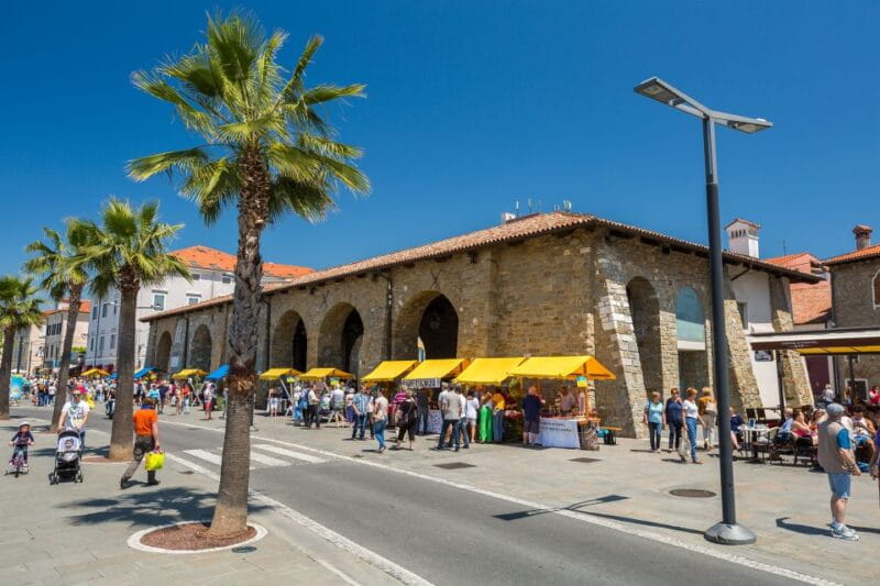 Piran and Slovenia Coast Tour from Trieste - Key points / Takeaways