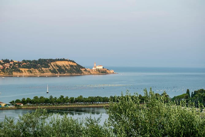 Piran Old Town Walking Tour - The Guide’s Role: Knowledge, Stories, and Personal Touch