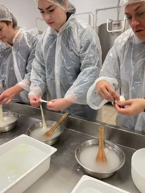 Pisa: Exclusive Private Cheese Making and Tasting Experience - Tasting and Pairing: Why It Matters