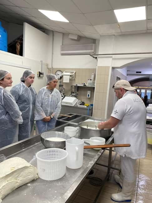 Pisa: Exclusive Private Cheese Making and Tasting Experience - Practical Details and Logistics