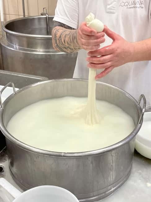 Pisa: Exclusive Private Cheese Making and Tasting Experience - Who Will Love This Tour?