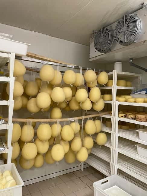 Pisa: Exclusive Private Cheese Making and Tasting Experience - Final Thoughts: Why It’s Worth Your Time