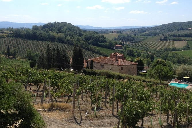 Pisa & Florence highlights shore excursion from Livorno port - Exploring the Itinerary in Detail