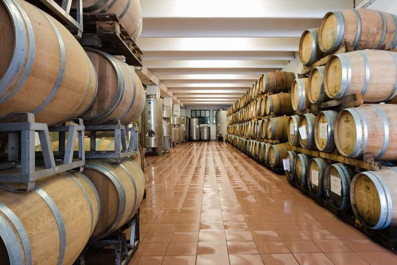 Pisoni: Stories of wine and flavors - Discovering Pisoni: Stories of Wine and Flavors