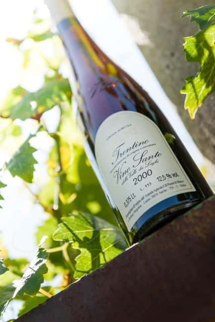 Pisoni: Stories of wine and flavors - Key Points and Takeaways