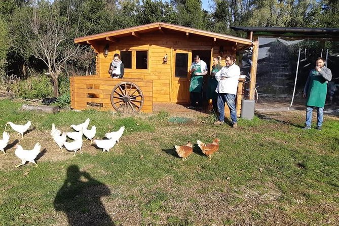 Pizza and Pasta Master Class in Rome With Wine and Tiramisu - Booking and Cancellation Policy