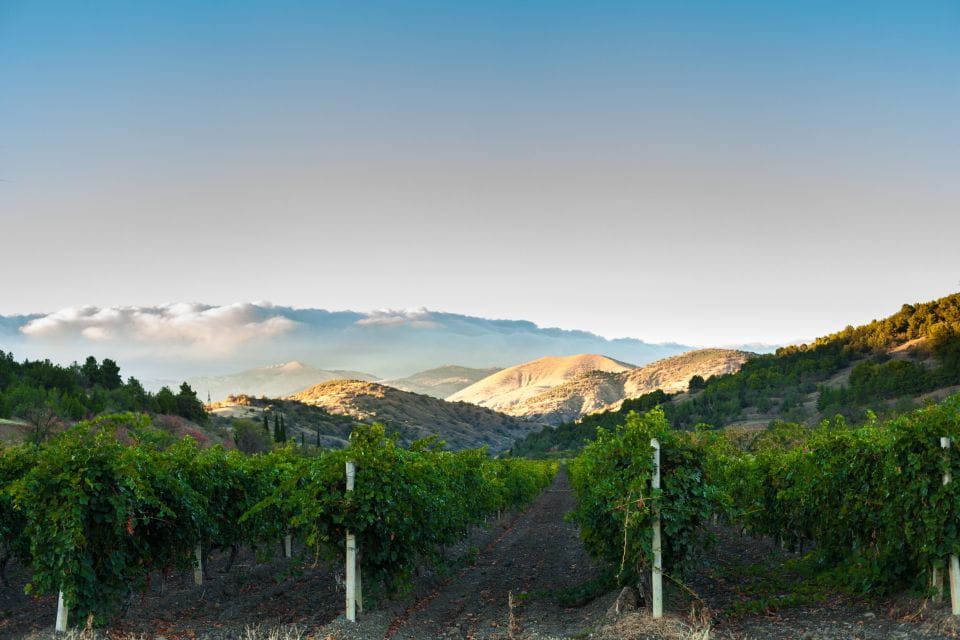 Placer County Digital Wine Tasting Passport - Accessibility and Accommodations