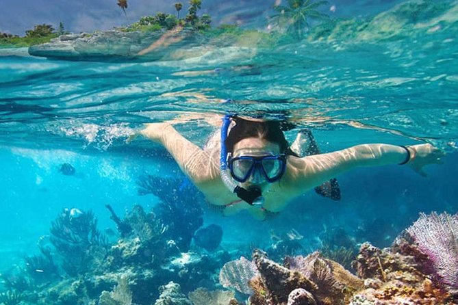 Platinum Power Shore Adventure, Hookah Diving, and Snorkeling - Snorkeling Experience