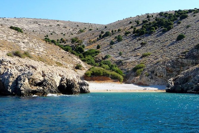 Plavnik Island & Wild Bays Full-Day Boat Trip With Capt. Bobo - Meeting and End Points