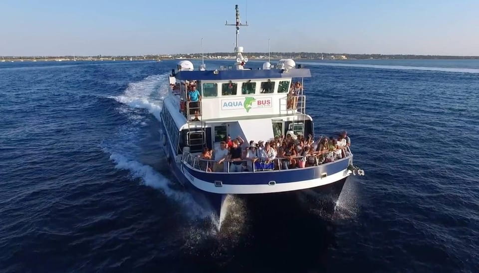 Playa Den Bossa/Figueretes: Roundtrip Ferry to Formentera - Experience Highlights