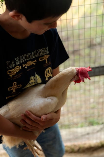 Playful Activities with Animals - An In-Depth Look at the Animal Encounter Experience