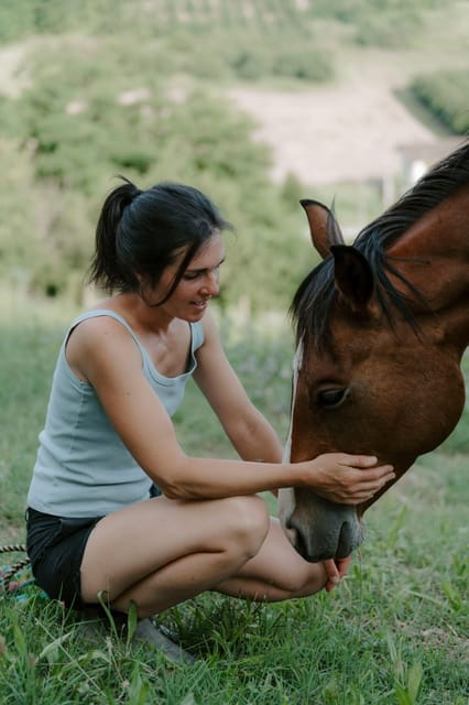 Playful Activities with Animals - Practical Tips for Your Visit