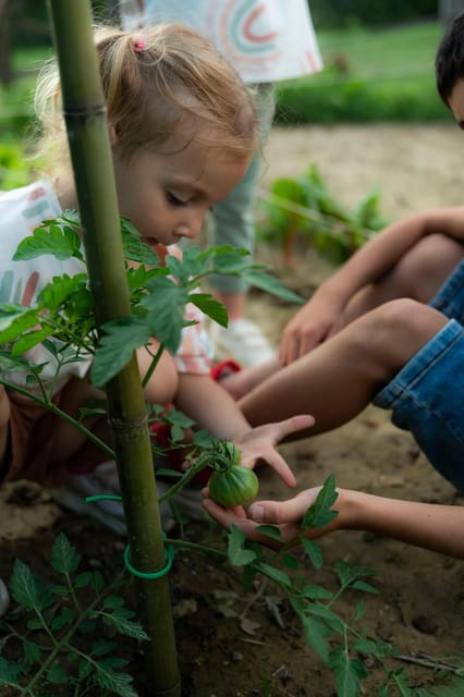 Playful Activities with Animals - Final Thoughts