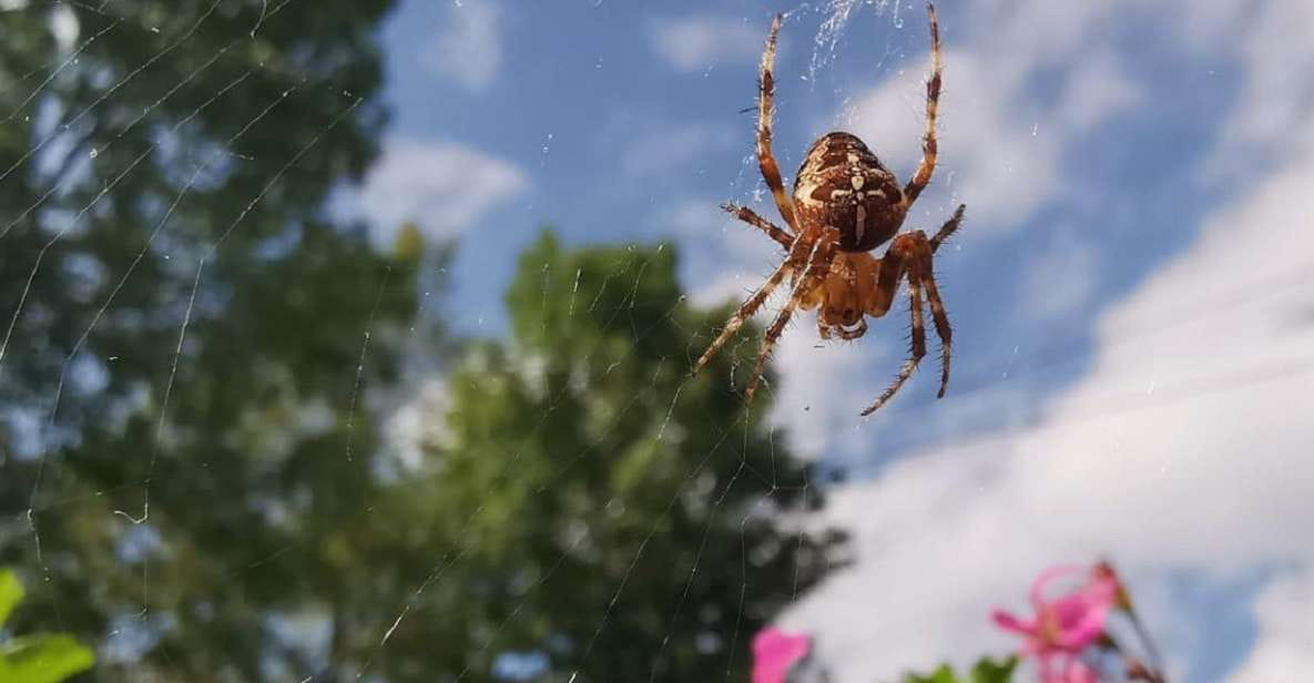 Plitvice Lakes National Park: Walking, Boat, and Train Tour - Included Services