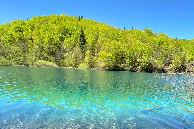 Plitvice private tour driver + guide up to 8 ppl from Zadar - Who Should Consider This Tour?