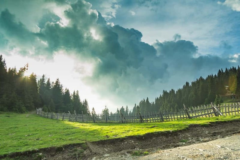 Plovdiv: Central Balkan National Park Guided Hike - Unpacking the Experience: A Day in the Mountains