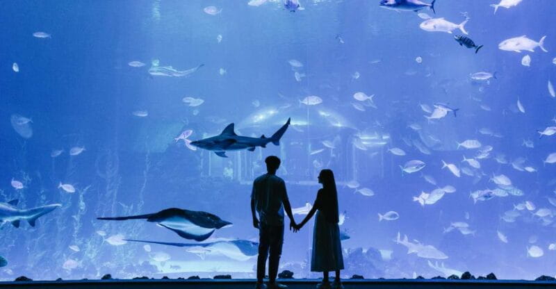 Poema del Mar Skip-the-Line Ticket - Key points / Takeaways