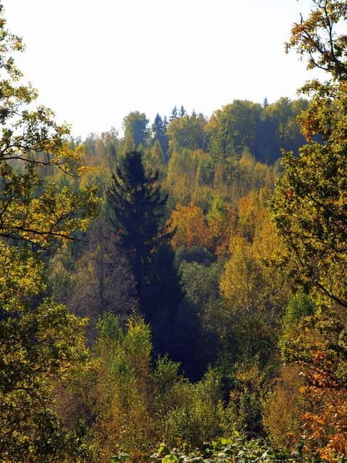 Pokaini stone agglomerates, Dobele castle, children park - Exploring Latvia’s Hidden Charm: Pokaini Forest, Dobele Castle, and a Vintage Workshop