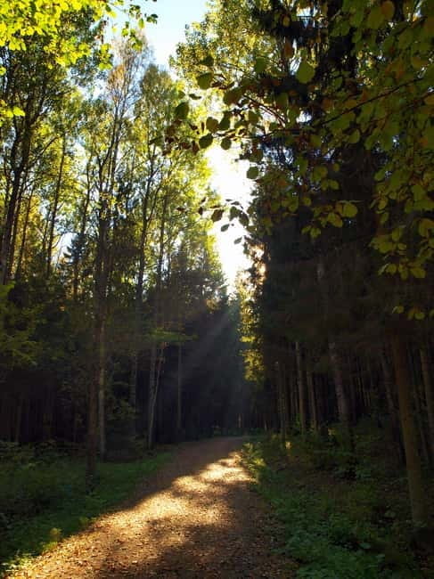 Pokaini stone agglomerates, Dobele castle, children park - Key Points / Takeaways