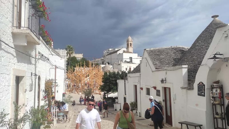 Polignano a Mare & Alberobello: Highliths Tour in Tesla - Who Will Love This Tour?