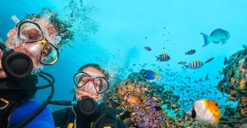 Polignano a Mare: Scuba Experience with certification - The Experience Itself: What You Can Expect
