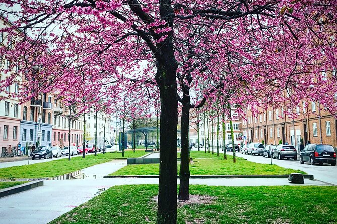 Politically Incorrect Beer Walk - Politically Incorrect Approach