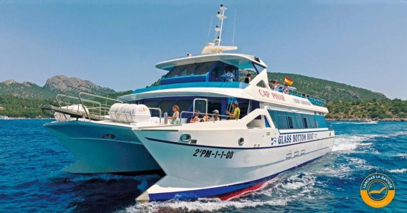 Pollença: Dolphin Watching Boat Excursion - Accessibility and Practical Tips