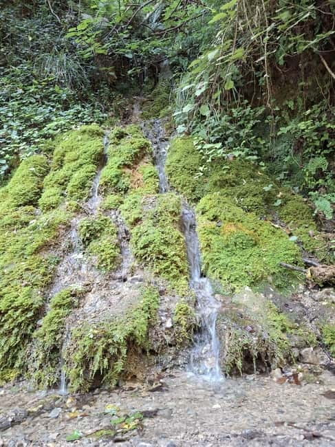 Pollino National Park: Trekking in the Argentino Nature Reserve - Who Should Consider This Tour