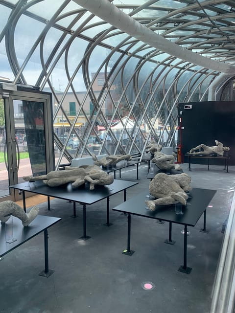 POMPEI AND HERCULANEUM PRIVATE TOUR - A Practical, Authentic Day with Pompeii and Herculaneum