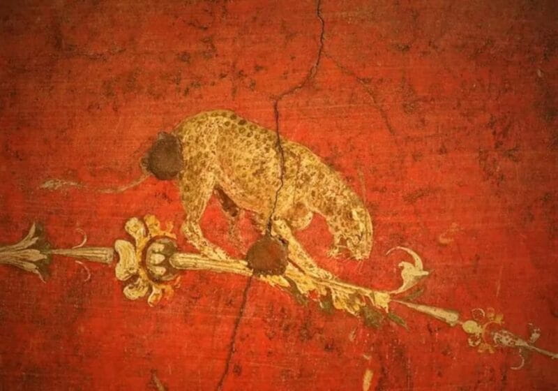 Pompei and Herculaneum: Skip the Line Entry + Audioguide - FAQ