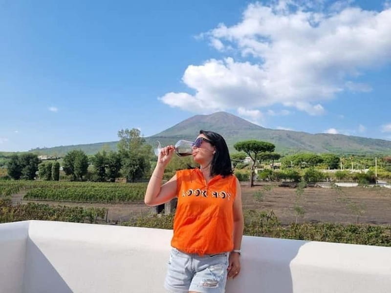 Pompei: Vesuvius Vineyards Tour with Wine Tasting and Lunch - Key points / Takeaways