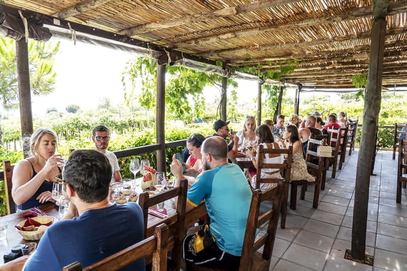 Pompei: Vesuvius Vineyards Tour with Wine Tasting and Lunch - Practical Details: What to Know Before Booking