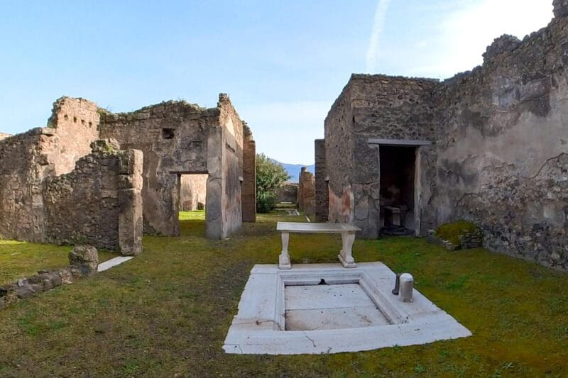 Pompeii: 2 Hours Skip the Line Visit with a Licensed Guide - Who Will Love This Tour?